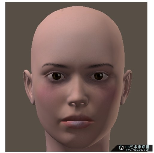 poser2014進(jìn)階教程之素材庫(kù)的管理